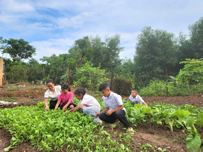 Cô Hiệp hướng dẫn học sinh trong hoạt động chăm sóc mô hình vườn rau và cây ăn quả của nhà trường. Ảnh: NVCC be0e506241d1e18fb8c0.jpg