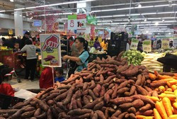 Theo nhiều chuyên gia kinh tế, nông sản Việt Nam có thế mạnh và tiềm năng, chỉ cần người nông dân, doanh nghiệp thay đổi sẽ thu lợi lớn. Ảnh: Vũ Phương. Theo nhiều chuyên gia kinh tế, nông sản Việt Nam có thế mạnh và tiềm năng, chỉ cần người nông dân, doanh nghiệp thay đổi sẽ thu lợi lớn. Ảnh: Vũ Phương.