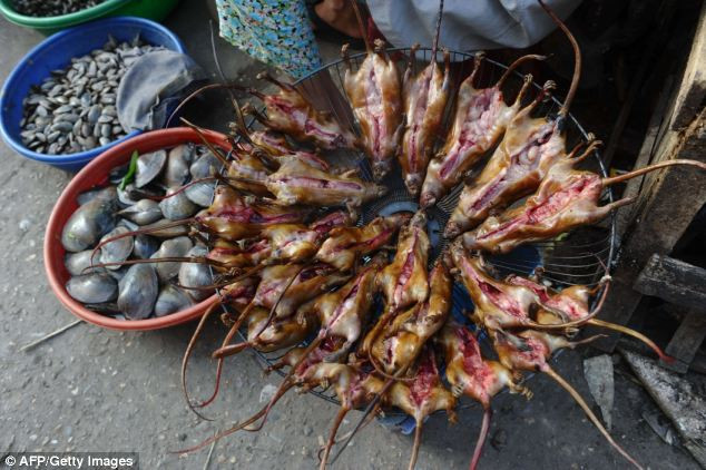 Thịt chuột được người dân bắt về rồi được đem ra chợ bán Thịt chuột được người dân bắt về rồi được đem ra chợ bán