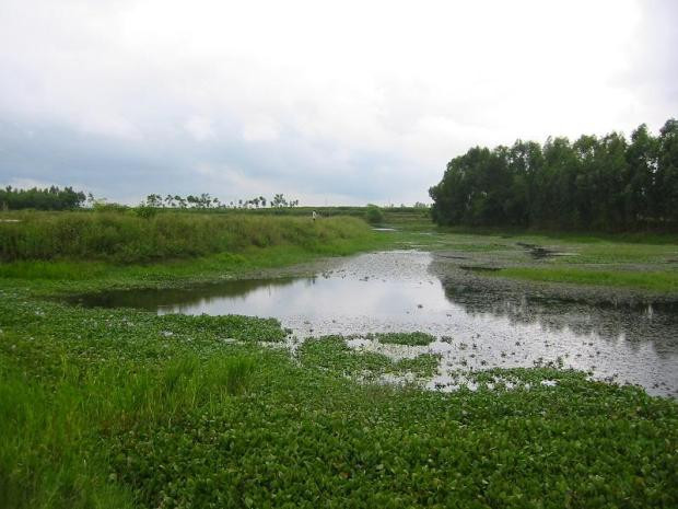 Ai đi xa lâu ngày trở về cũng ngây ngất bởi những cảnh đẹp này Ai đi xa lâu ngày trở về cũng ngây ngất bởi những cảnh đẹp này