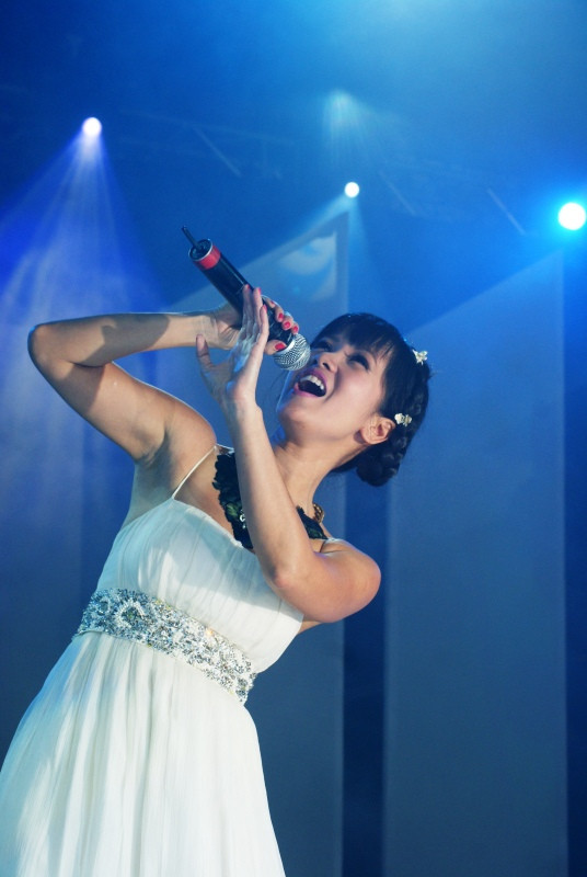 Khán giả ở phía trên cao có nhìn rõ Hồng Nhung không!