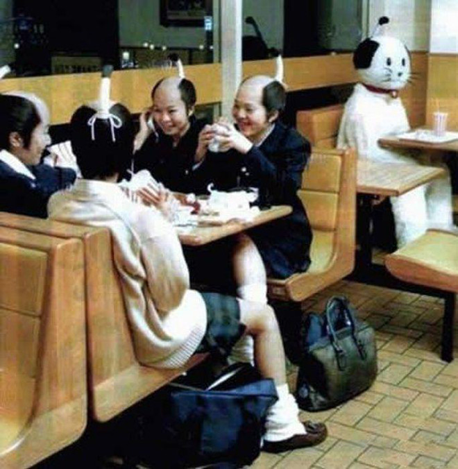 Sành điệu. Sành điệu.