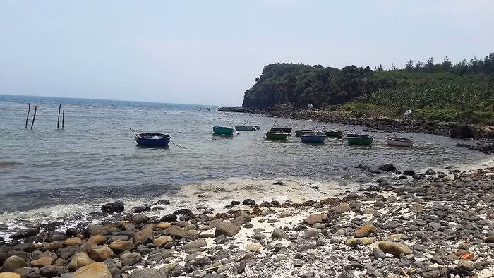 Gành Yến (Quảng Ngãi) nằm trong ảnh hưởng dự án “Quần thể du lịch nghỉ dưỡng và đô thị FLC Bình Châu – Lý Sơn” do Tập đoàn FLC làm chủ đầu tư. Dự án này gần như ôm trọn đất ven biển ảnh hưởng đến hàng ngàn ngư dân bám biển. Ảnh: T.T