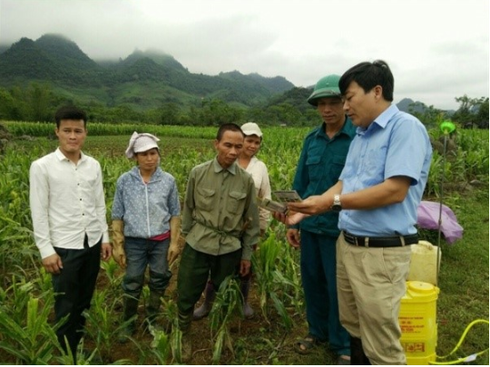 Tiến sĩ Nguyễn Hồng Yến – Chi cục Trưởng Chi cục Trồng trọt và Bảo vệ thực vật Hòa Bình – Cựu sinh viên K34BVTV (áo xanh, ngoài cùng bên phải) đang chỉ đạo phòng trừ sâu keo mùa thu trên ngô tại Hòa Bình. Tiến sĩ Nguyễn Hồng Yến – Chi cục Trưởng Chi cục Trồng trọt và Bảo vệ thực vật Hòa Bình – Cựu sinh viên K34BVTV (áo xanh, ngoài cùng bên phải) đang chỉ đạo phòng trừ sâu keo mùa thu trên ngô tại Hòa Bình.