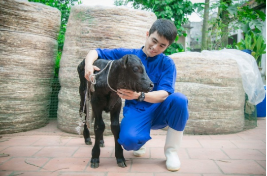 Học viện nghiên cứu thành công bò thụ tinh ống nghiệm sử dụng trứng bò từ lò mổ với tinh bò đen và tạo phôi bằng thụ tinh trong ống nghiệm IVF. Học viện nghiên cứu thành công bò thụ tinh ống nghiệm sử dụng trứng bò từ lò mổ với tinh bò đen và tạo phôi bằng thụ tinh trong ống nghiệm IVF.