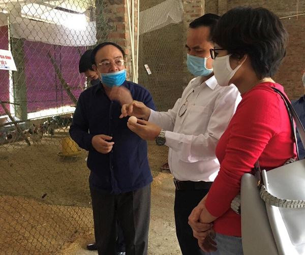 Học viện Nông nghiệp Việt Nam chọn tạo gà mía tiến vua bằng công nghệ tìm gen. Học viện Nông nghiệp Việt Nam chọn tạo gà mía tiến vua bằng công nghệ tìm gen.