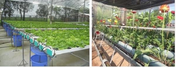 Một số mô hình tưới tự động ứng dụng công nghệ IoT do sinh viên khoa Cơ – Điện thiết kế. (Ảnh: NX.) Một số mô hình tưới tự động ứng dụng công nghệ IoT do sinh viên khoa Cơ – Điện thiết kế. (Ảnh: NX.)