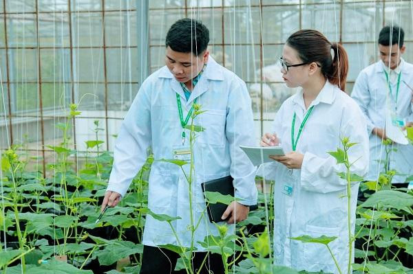 Một tiết học thực hành trồng cây không đất của sinh viên. Một tiết học thực hành trồng cây không đất của sinh viên.