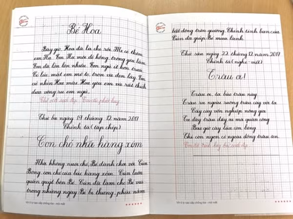 Mỗi tỉnh một vở luyện viết riêng để làm gì? ảnh 4