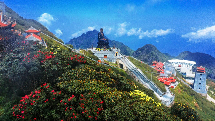 Năm nay, hoa đỗ quyên nở rất đẹp trên dãy Hoàng Liên Sơn. Năm nay, hoa đỗ quyên nở rất đẹp trên dãy Hoàng Liên Sơn.