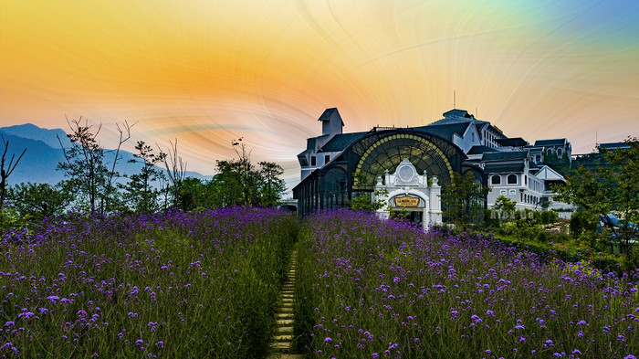 Background hoa tím “huyền thoại” của nhiều du khách suốt một năm qua đã được mở rộng gấp 5 lần. Background hoa tím “huyền thoại” của nhiều du khách suốt một năm qua đã được mở rộng gấp 5 lần.