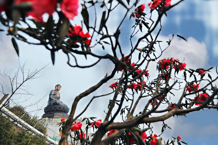 Bắt đầu nở rộ từ tháng 4, mùa đỗ quyên Fansipan sẽ kéo dài đến tháng 7 tới, vừa xinh cho một mùa hè mát lạnh với vô vàn hoạt động thú vị trên “nóc nhà Đông Dương” như săn mây, cầu an bái Phật, hay trải nghiệm những sắc màu văn hóa Tây Bắc độc đáo.