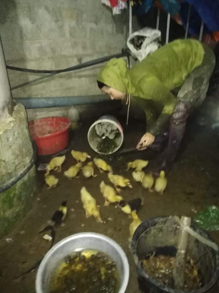 Đêm đêm cô Lê Thị Minh thân cò, thân vạc, đặt trúm bắt cua, mãi khuya mới trở về nhà Đêm đêm cô Lê Thị Minh thân cò, thân vạc, đặt trúm bắt cua, mãi khuya mới trở về nhà