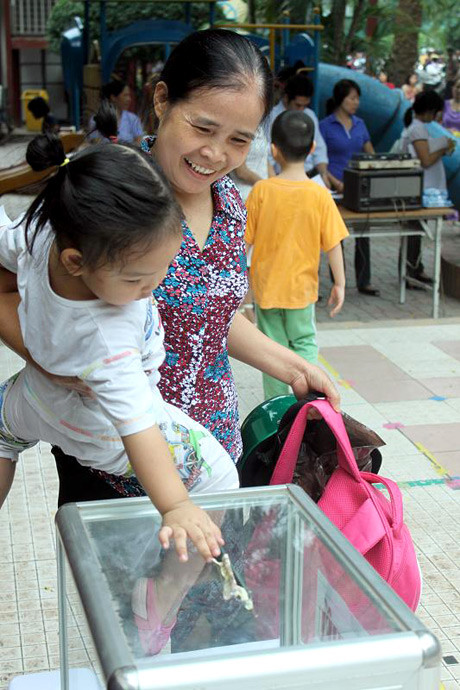 Những đồng tiền 5000đ, 10.000đ, 100.000đ, 200.000đ, 300.000đ cẩn thận bỏ vào hòm từ thiện đặt tại sân trường. Những đồng tiền 5000đ, 10.000đ, 100.000đ, 200.000đ, 300.000đ cẩn thận bỏ vào hòm từ thiện đặt tại sân trường.