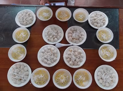 Rằm tháng Giêng, nhiều gia đình cúng bánh trôi để mong một năm mới mọi việc trôi chảy, thuận lợi. (Ảnh: giadinhvietnam.com)