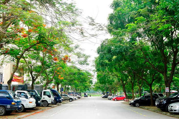 Không gian xung quanh ký túc xá xanh mát, rộng rãi và rất thuận tiện đi xe buýt. Không gian xung quanh ký túc xá xanh mát, rộng rãi và rất thuận tiện đi xe buýt.