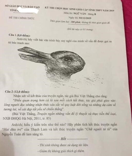 Một đề thi Ngữ văn của kì thi chọn học sinh giỏi cấp tỉnh. (Ảnh: Dương Thu Trang)