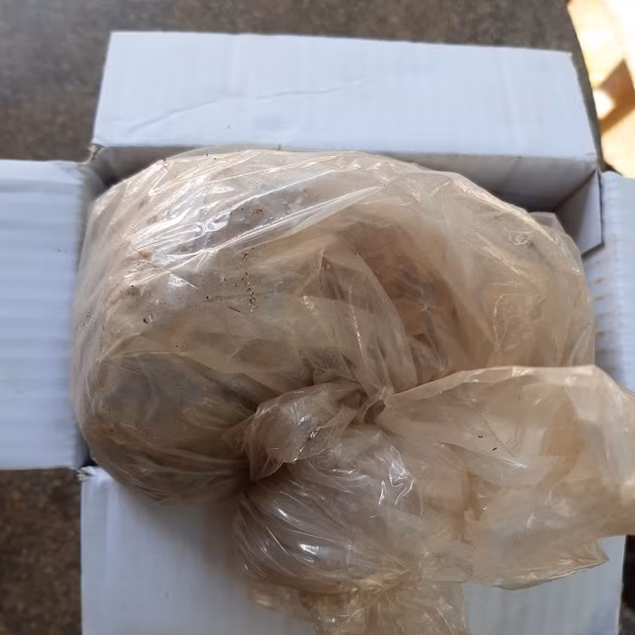 Món hàng không đặt mua, vậy mà mất oan gần nửa triệu bạc của cô giáo. (Ảnh do tác giả cung cấp)