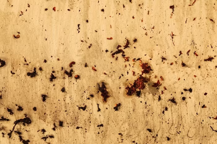 Một phần tác phẩm tranh tường “Khởi nguồn của màu sắc” của tác giả Quỳnh Lâm