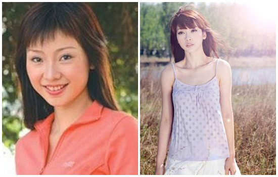 Cư dân mạng bắt đầu tá hỏa tìm lại “hồ sơ” của cô nàng và vô cùng thất vọng trước hình ảnh quá bình thường của Liễu Nham trước đây. Không nói đến vòng một, gương mặt của cô ấy cũng đã được chỉnh sửa quá nhiều.