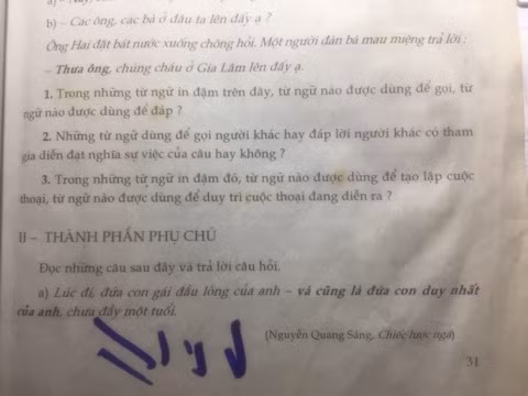 Câu hỏi về thành phần phụ chú. (Ảnh do tác giả cung cấp)