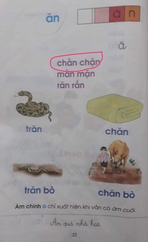 Hình ảnh minh chứng cô giáo D.T.T cung cấp Hình ảnh minh chứng cô giáo D.T.T cung cấp