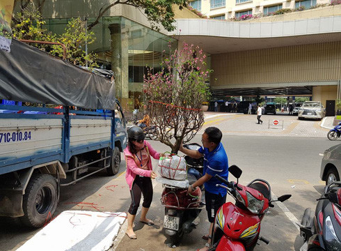 Một cành đào rất đẹp như vậy chỉ có giá 300.000 đồng vào trưa ngày 30 tết ở Sài Gòn (ảnh: P.L)