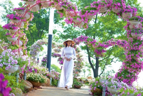 Hoa tươi tạo nên cảnh quan rực rỡ sống động trên đỉnh Bà Đen Hoa tươi tạo nên cảnh quan rực rỡ sống động trên đỉnh Bà Đen