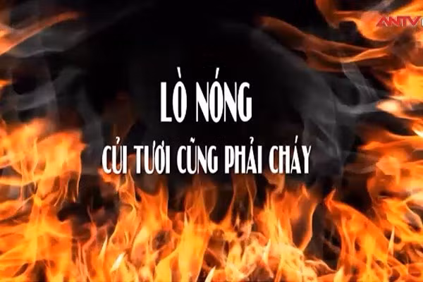 Mặt trời nào đang toả sáng ở Việt Nam?