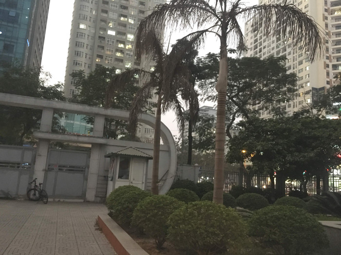 Nhiều cây cảnh trong khuôn viên ký túc xá Mỹ Đình khô héo, trong ảnh 2 cây cau không được chăm sóc đã khô héo. Ảnh: Vũ Phương. Nhiều cây cảnh trong khuôn viên ký túc xá Mỹ Đình khô héo, trong ảnh 2 cây cau không được chăm sóc đã khô héo. Ảnh: Vũ Phương.