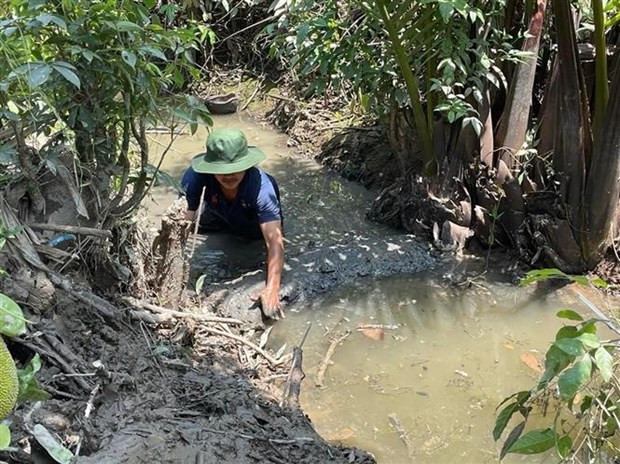 Người dân xã Tiên Long, huyện Châu Thành (Bến Tre) trữ nước ngọt tưới cho cây trồng. (Ảnh: TTXVN phát) Người dân xã Tiên Long, huyện Châu Thành (Bến Tre) trữ nước ngọt tưới cho cây trồng. (Ảnh: TTXVN phát)