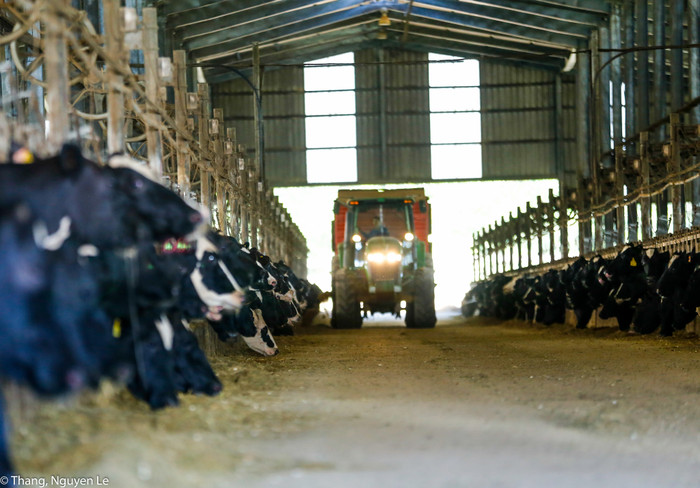 Ngân hàng Bắc Á đồng hành cùng nhiều dự án nông nghiệp công nghệ cao trong vai trò tư vấn đầu tư Ngân hàng Bắc Á đồng hành cùng nhiều dự án nông nghiệp công nghệ cao trong vai trò tư vấn đầu tư