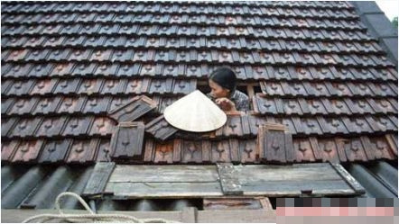 Những người phụ nữ miền Trung đang loay hoay trong bão lũ. Những người phụ nữ miền Trung đang loay hoay trong bão lũ.
