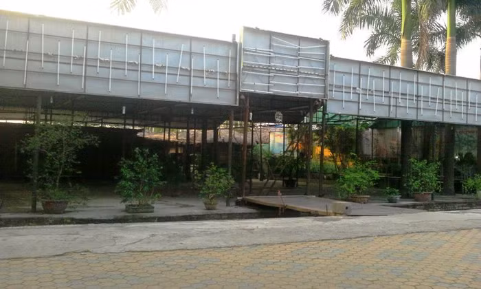 Trong buổi chiều tối nay, quán Quỳnh Béo vắng hoe, trong khi những quán bên cạnh vẫn hoạt động bình thường