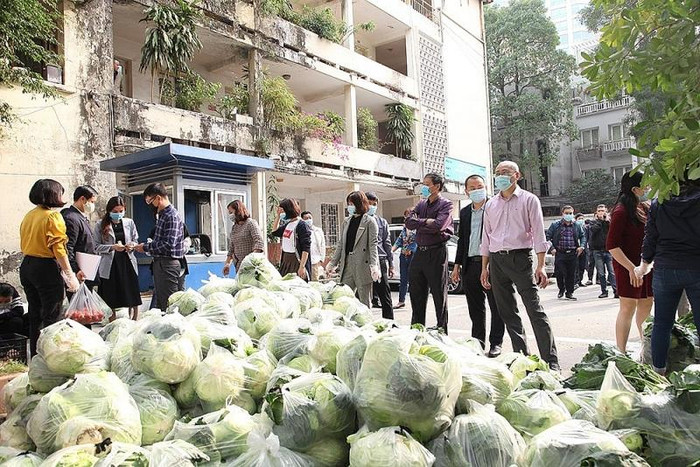 Nông sản chủ yếu bao gồm cà chua, su hào, bắp cải...