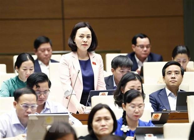 Đại biểu Quốc hội tỉnh Ninh Bình Trần Thị Hồng Thanh phát biểu. (Ảnh: Doãn Tấn/TTXVN) Đại biểu Quốc hội tỉnh Ninh Bình Trần Thị Hồng Thanh phát biểu. (Ảnh: Doãn Tấn/TTXVN)