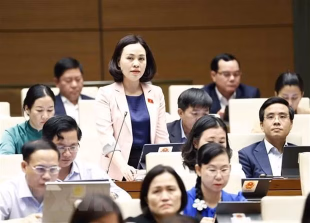 Đại biểu Quốc hội tỉnh Ninh Bình Trần Thị Hồng Thanh phát biểu. (Ảnh: Doãn Tấn/TTXVN)