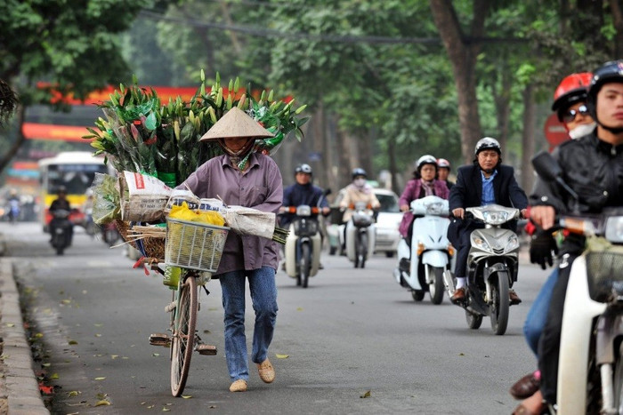 Nền giáo dục Việt Nam xếp thứ 65/80. Ảnh: US News Nền giáo dục Việt Nam xếp thứ 65/80. Ảnh: US News