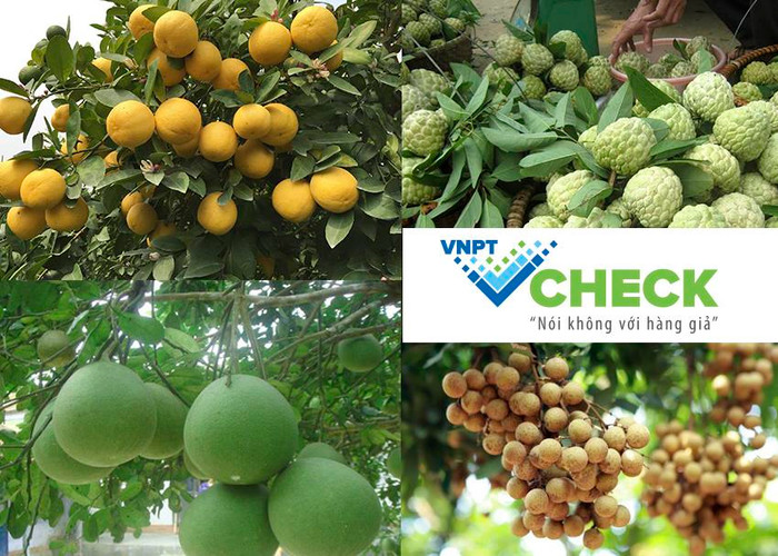 Các nông sản đặc sản sử dụng tem truy xuất nguồn gốc hàng hóa VNPT Check Các nông sản đặc sản sử dụng tem truy xuất nguồn gốc hàng hóa VNPT Check