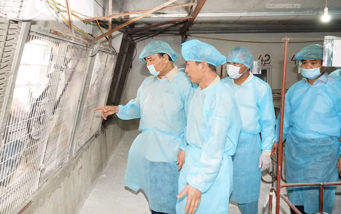 Thủ tướng kiểm tra công tác chống dịch tả lợn châu Phi ở Đông Anh. Ảnh VGP/Quang Hiếu