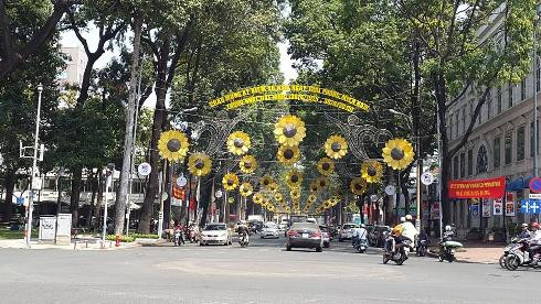 Đường Phạm Ngọc Thạch được tô điểm thêm nhiều bông mai mùa xuân (Ảnh: T.Q) Đường Phạm Ngọc Thạch được tô điểm thêm nhiều bông mai mùa xuân (Ảnh: T.Q)