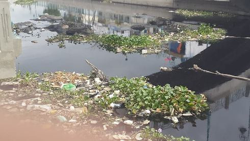 Rất nhiều lá cây, bèo và vô số các loại rác thải trôi dọc theo dòng kênh này (ảnh: T.Q)