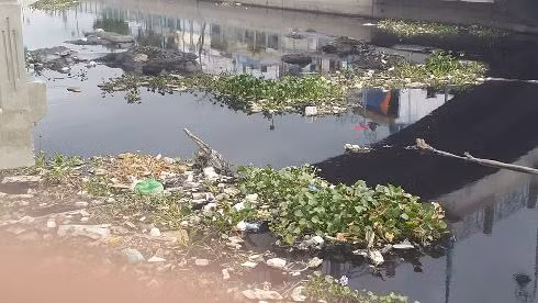 Rất nhiều lá cây, bèo và vô số các loại rác thải trôi dọc theo dòng kênh này (ảnh: T.Q)