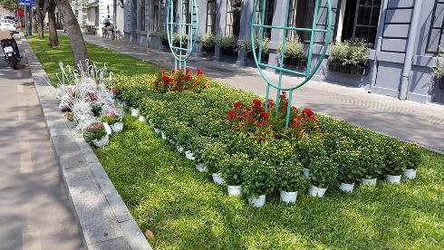 Đường Lê Duẩn được trang trí thêm với nhiều loại hoa đẹp mắt (ảnh: T.Q) Đường Lê Duẩn được trang trí thêm với nhiều loại hoa đẹp mắt (ảnh: T.Q)