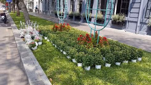 Đường Lê Duẩn được trang trí thêm với nhiều loại hoa đẹp mắt (ảnh: T.Q)
