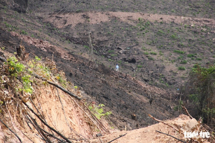 Rừng phòng hộ tại Đông Triều – Quảng Ninh (Ảnh: Tiến Thắng) Rừng phòng hộ tại Đông Triều – Quảng Ninh (Ảnh: Tiến Thắng)
