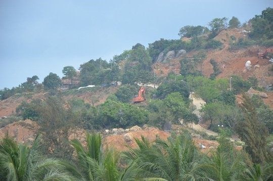 Rừng trên bán đảo Sơn Trà – Đà Nẵng (Ảnh: Vtc.vn) Rừng trên bán đảo Sơn Trà – Đà Nẵng (Ảnh: Vtc.vn)