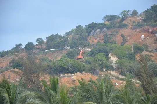 Rừng trên bán đảo Sơn Trà – Đà Nẵng (Ảnh: Vtc.vn) Rừng trên bán đảo Sơn Trà – Đà Nẵng (Ảnh: Vtc.vn)