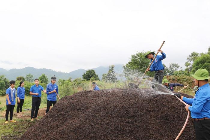 Áp dụng công nghệ vào quy trình ủ phế phẩm vỏ cà phê thành phân bón. ảnh: NVCC.