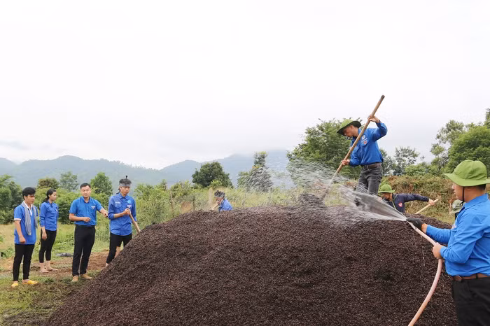 Áp dụng công nghệ vào quy trình ủ phế phẩm vỏ cà phê thành phân bón. ảnh: NVCC. Áp dụng công nghệ vào quy trình ủ phế phẩm vỏ cà phê thành phân bón. ảnh: NVCC.